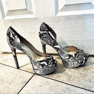 Steve Madden Snake Skin Pumps